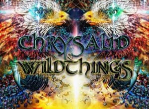 Chrysalid & Wildthings logo
